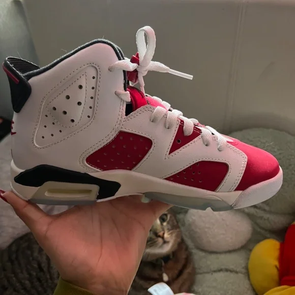Air Jordan 6 retro carmine